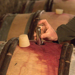 Xavier Durand and a Barrel of Corton Rognet
